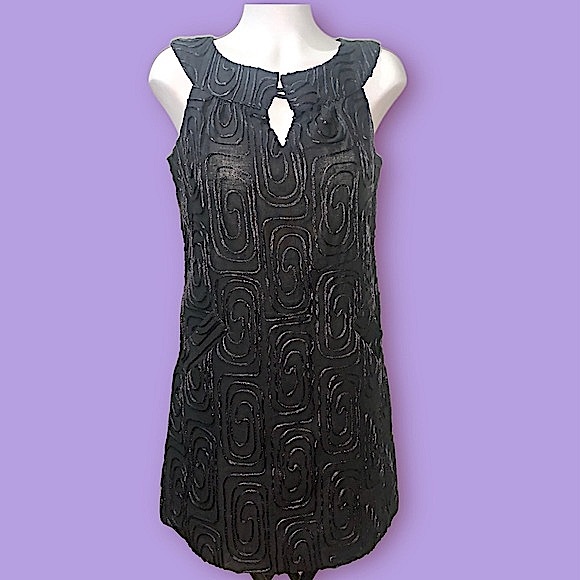 B.B. DAKOTA SHIFT DRESS - Picture 1 of 7